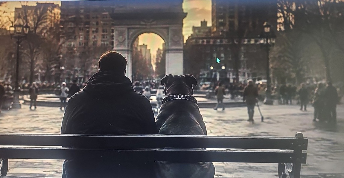A man and dog seated together facing Washington Square Arch